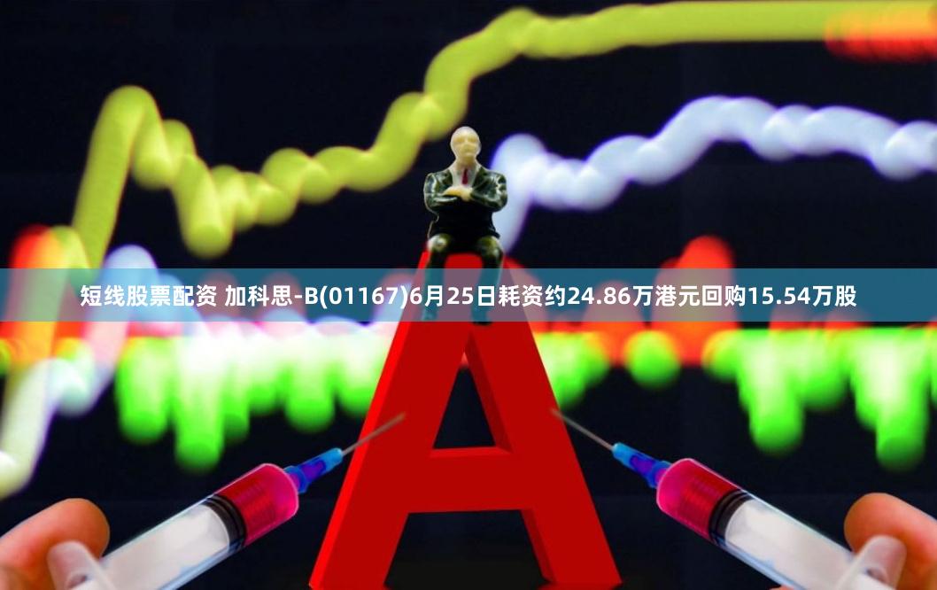 短线股票配资 加科思-B(01167)6月25日耗资约24.86万港元回购15.54万股