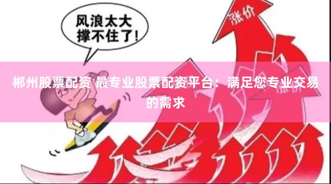 郴州股票配资 最专业股票配资平台：满足您专业交易的需求