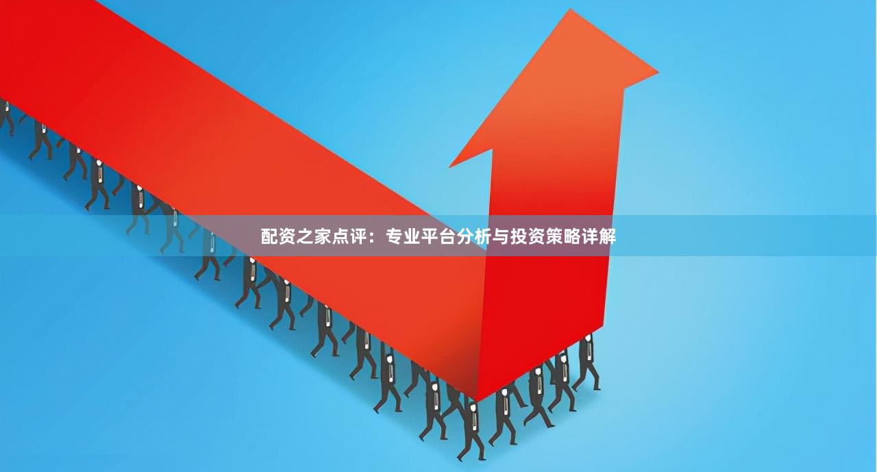 配资之家点评：专业平台分析与投资策略详解