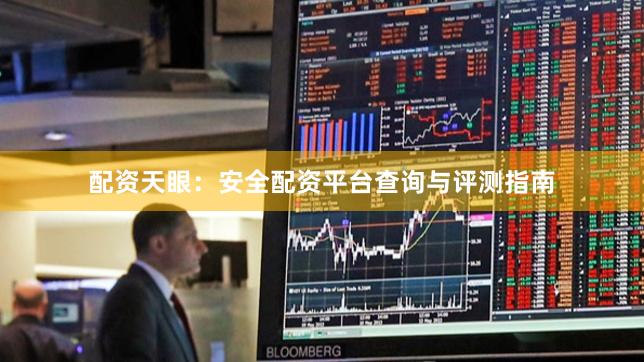 配资天眼：安全配资平台查询与评测指南