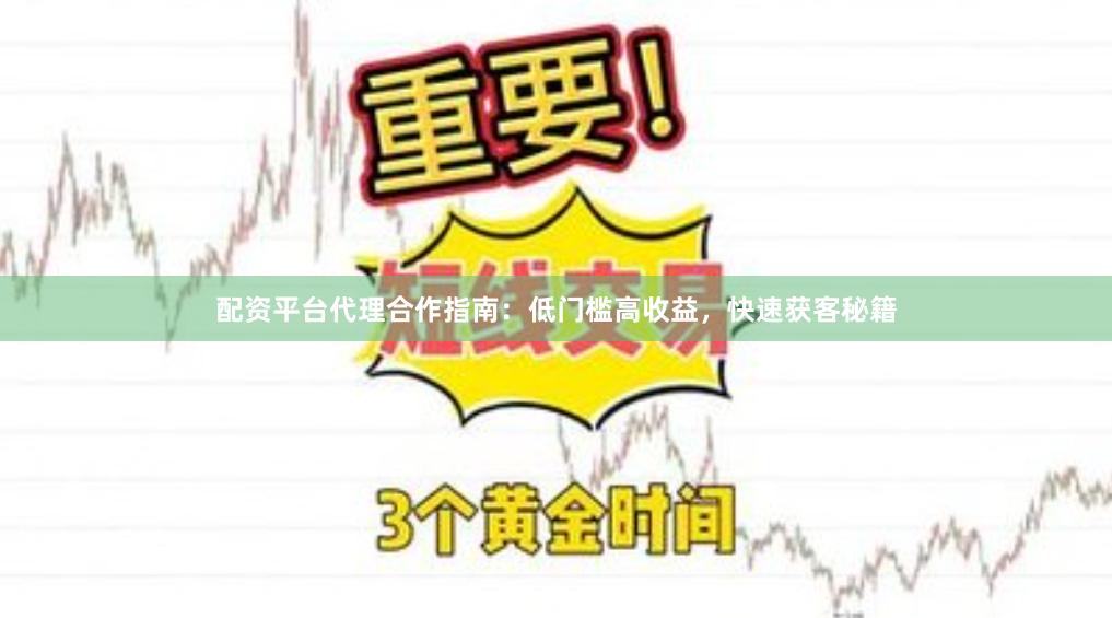 配资平台代理合作指南：低门槛高收益，快速获客秘籍